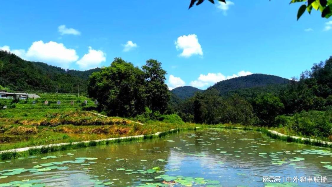 快手在线自助业务平台