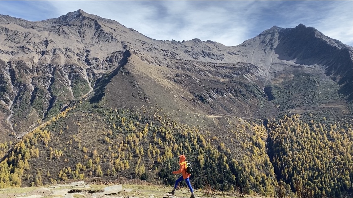 24小时抖音代涨平台：抖音账号快速增粉新策略推荐